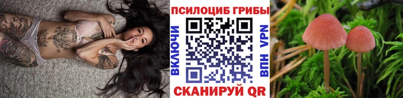 Псилоцибиновые грибы мицелий Каменка