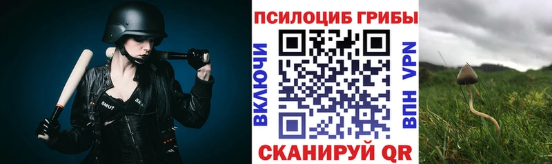 Псилоцибиновые грибы Psilocybine cubensis  блэк спрут ссылка  Каменка 